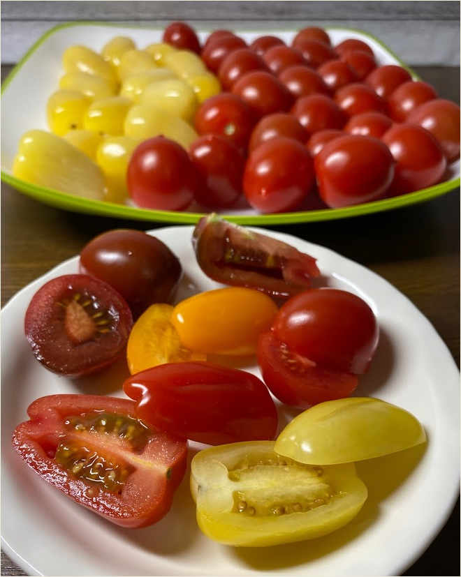 コストコ【トマトメドレー】カナダ産の色々な色のトマトメドレーを買ってみた！